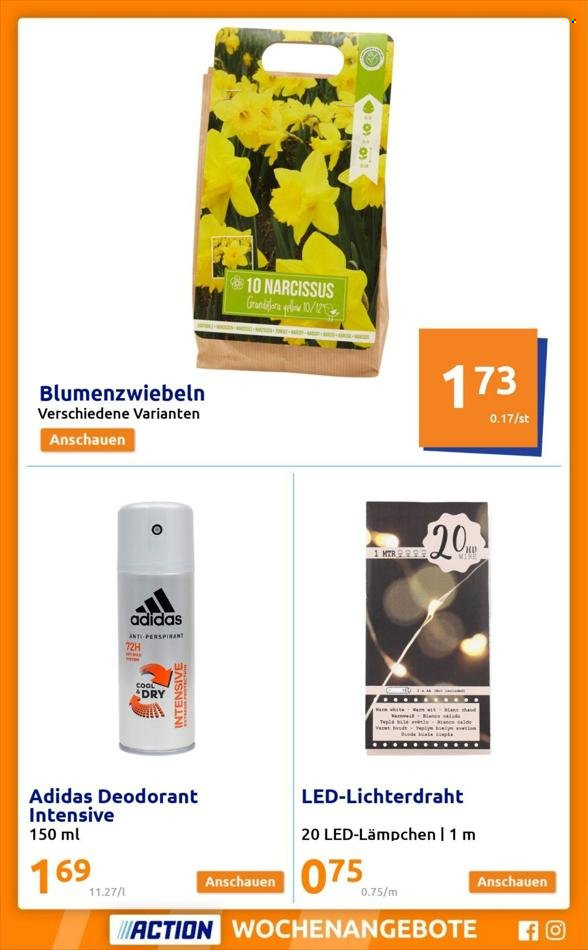 Angebote Action - 30.11.2022 - 6.12.2022.