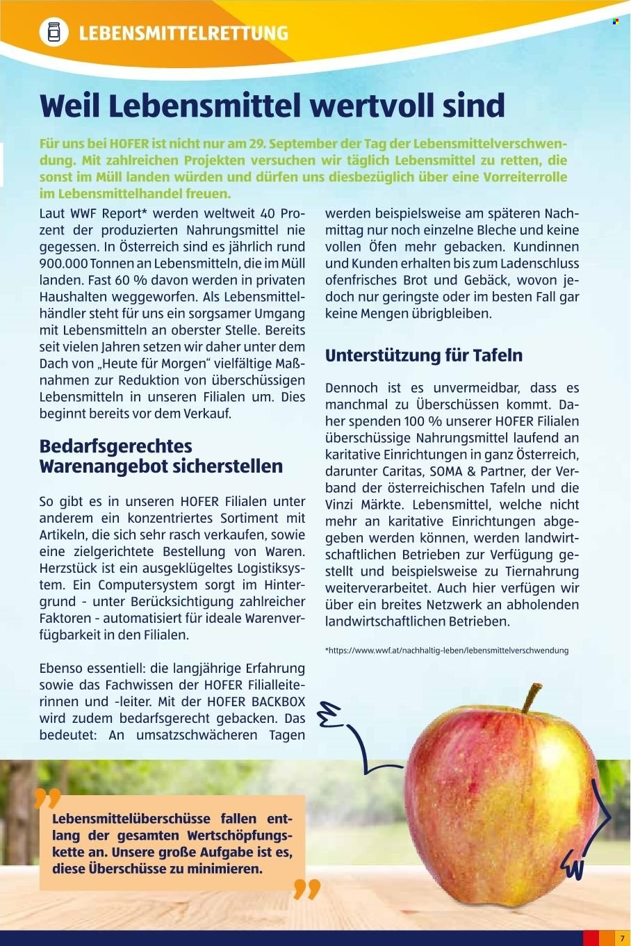 Angebote Hofer.