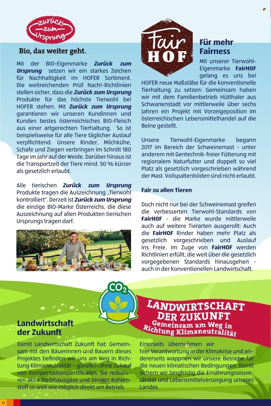 Angebote Hofer.