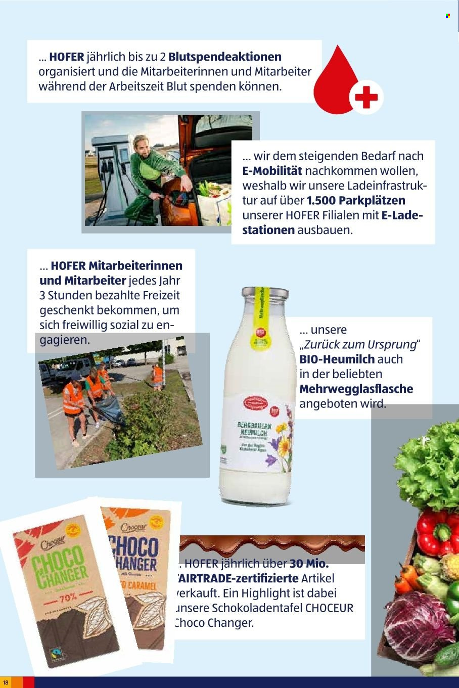 Angebote Hofer.