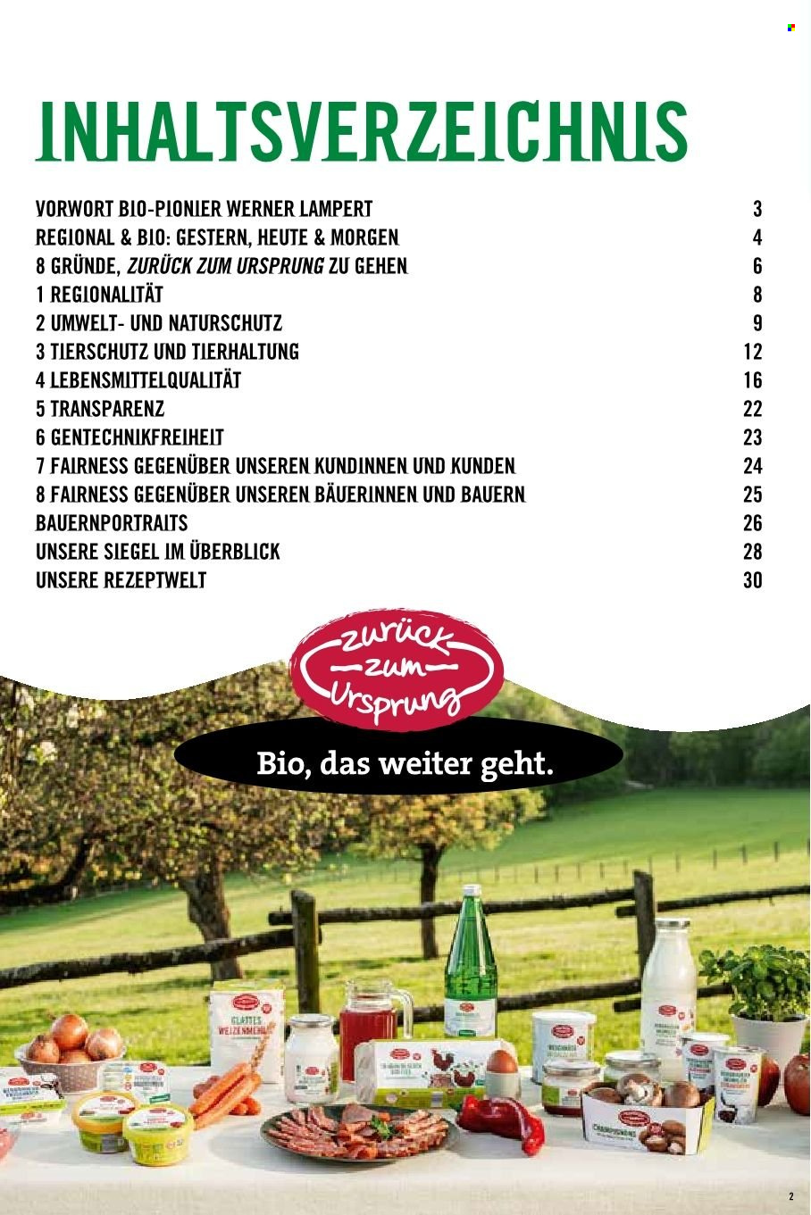 Angebote Hofer.