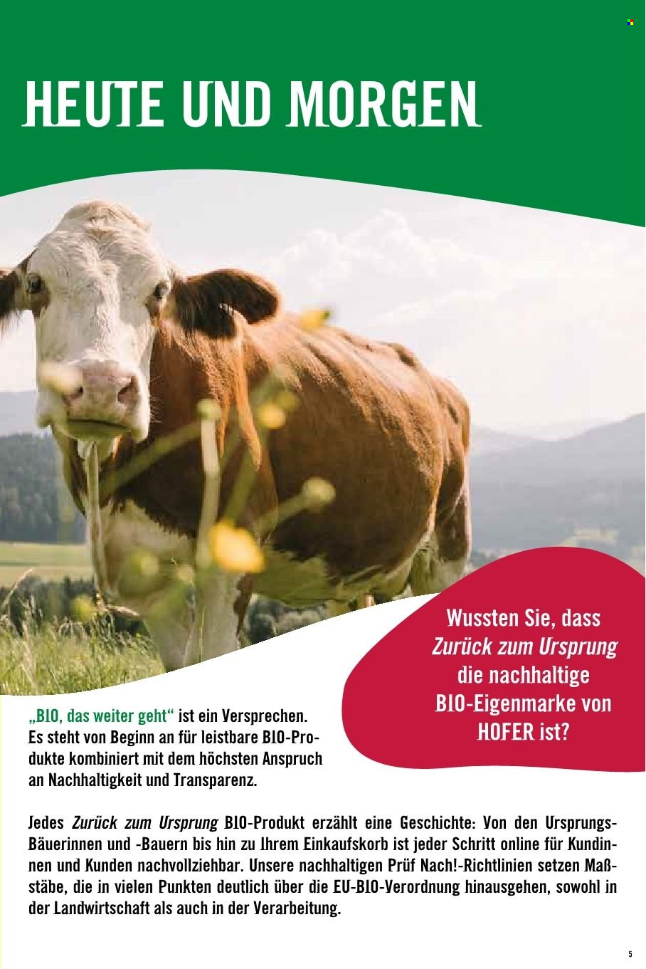 Angebote Hofer.