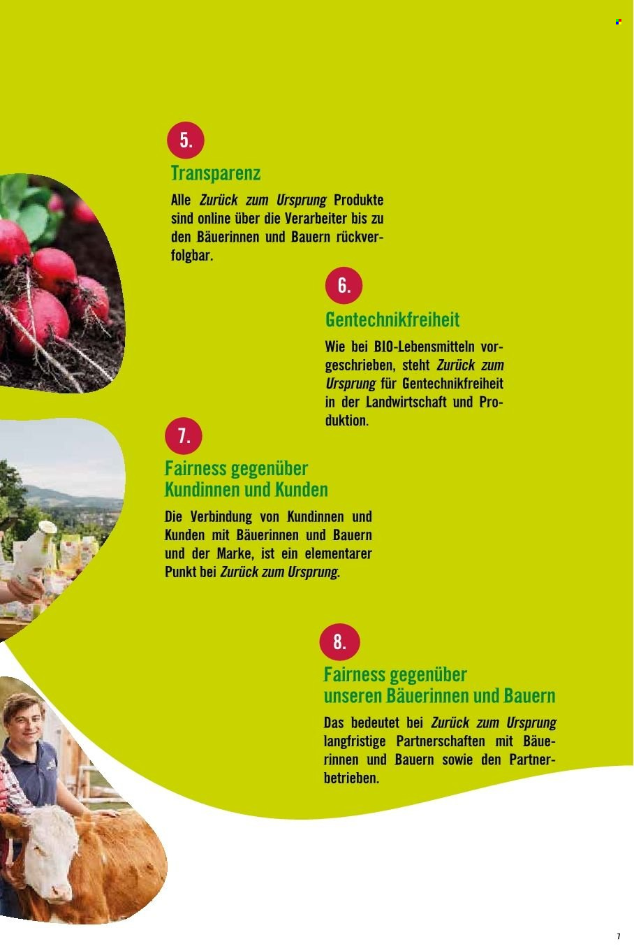 Angebote Hofer.