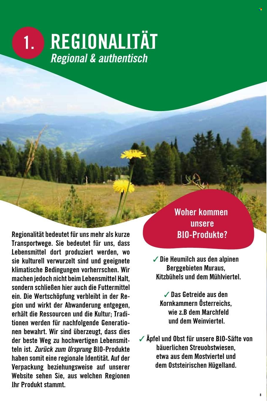 Angebote Hofer.