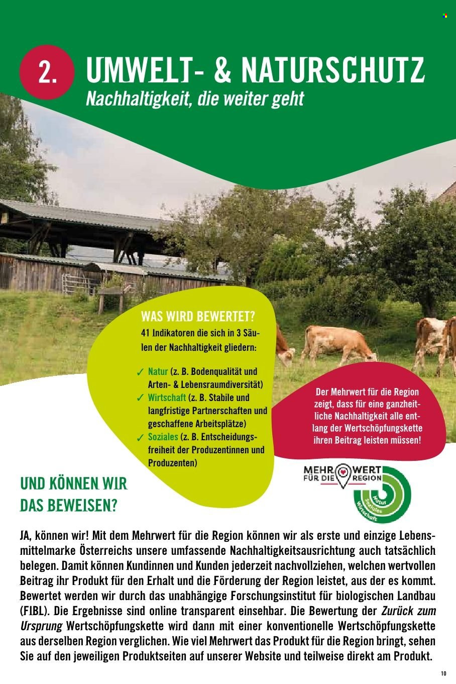 Angebote Hofer.
