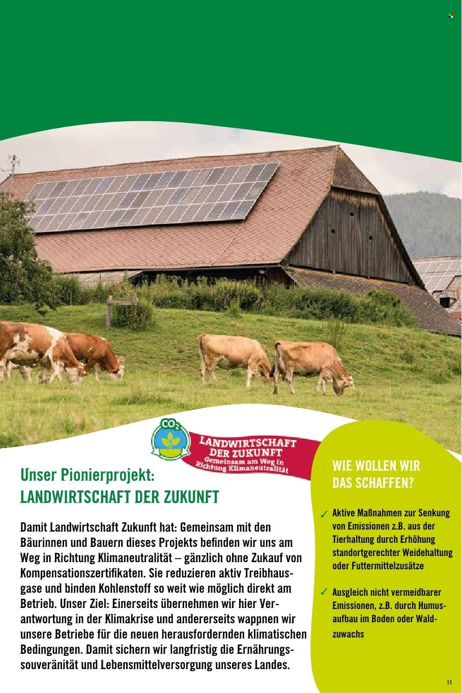Angebote Hofer.