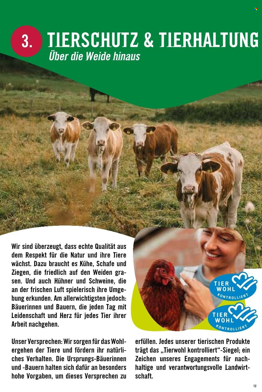 Angebote Hofer.