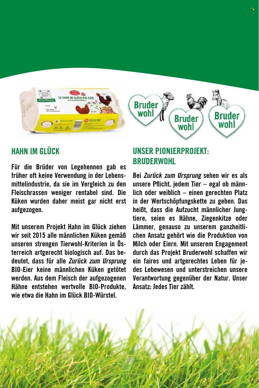 Angebote Hofer.