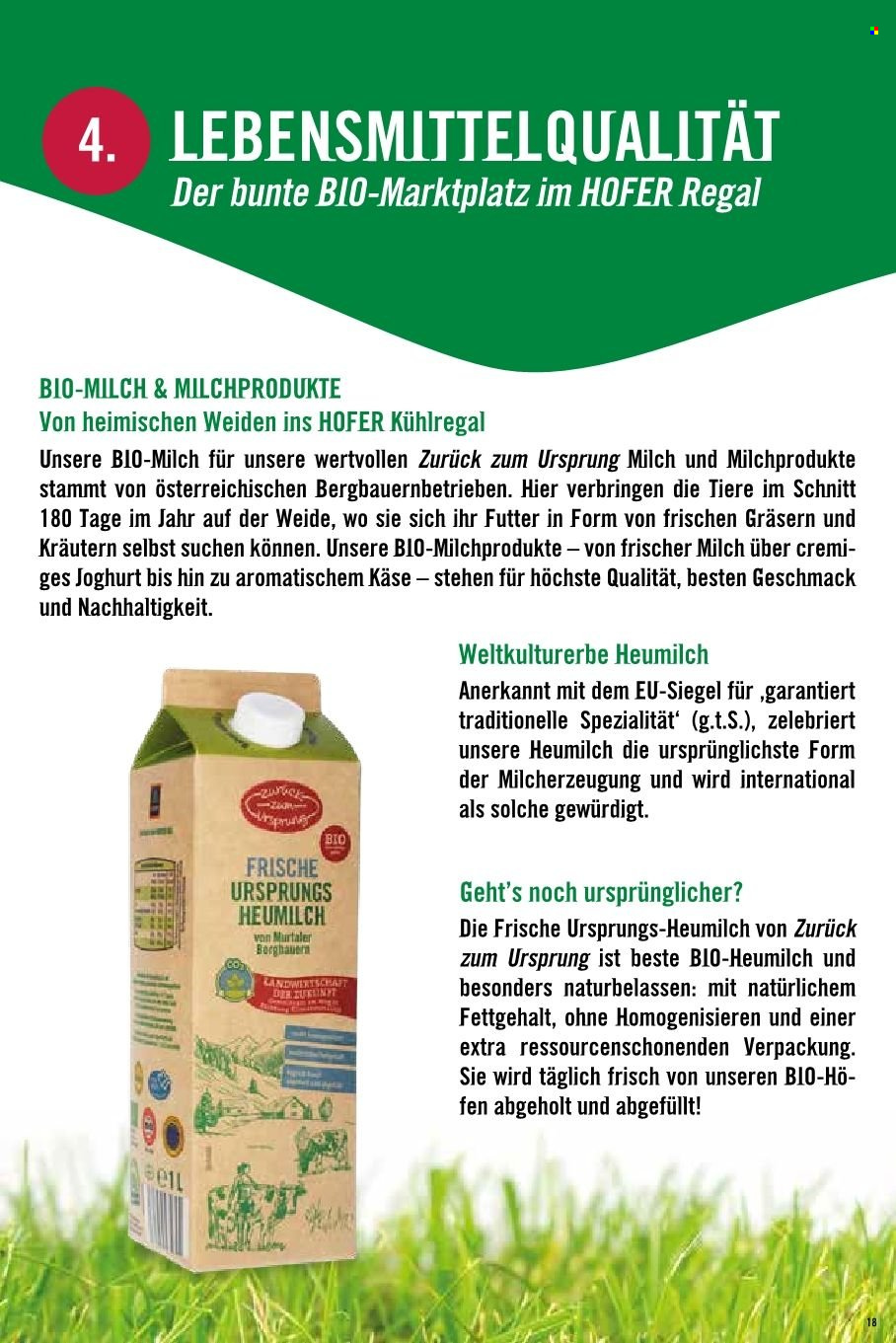 Angebote Hofer.