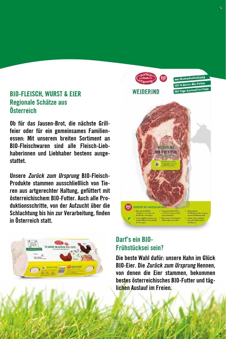 Angebote Hofer.