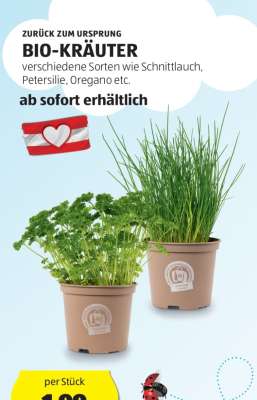 BIO-KRÄUTER