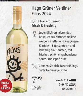 HAGN Grüner Veltliner Filius 2024