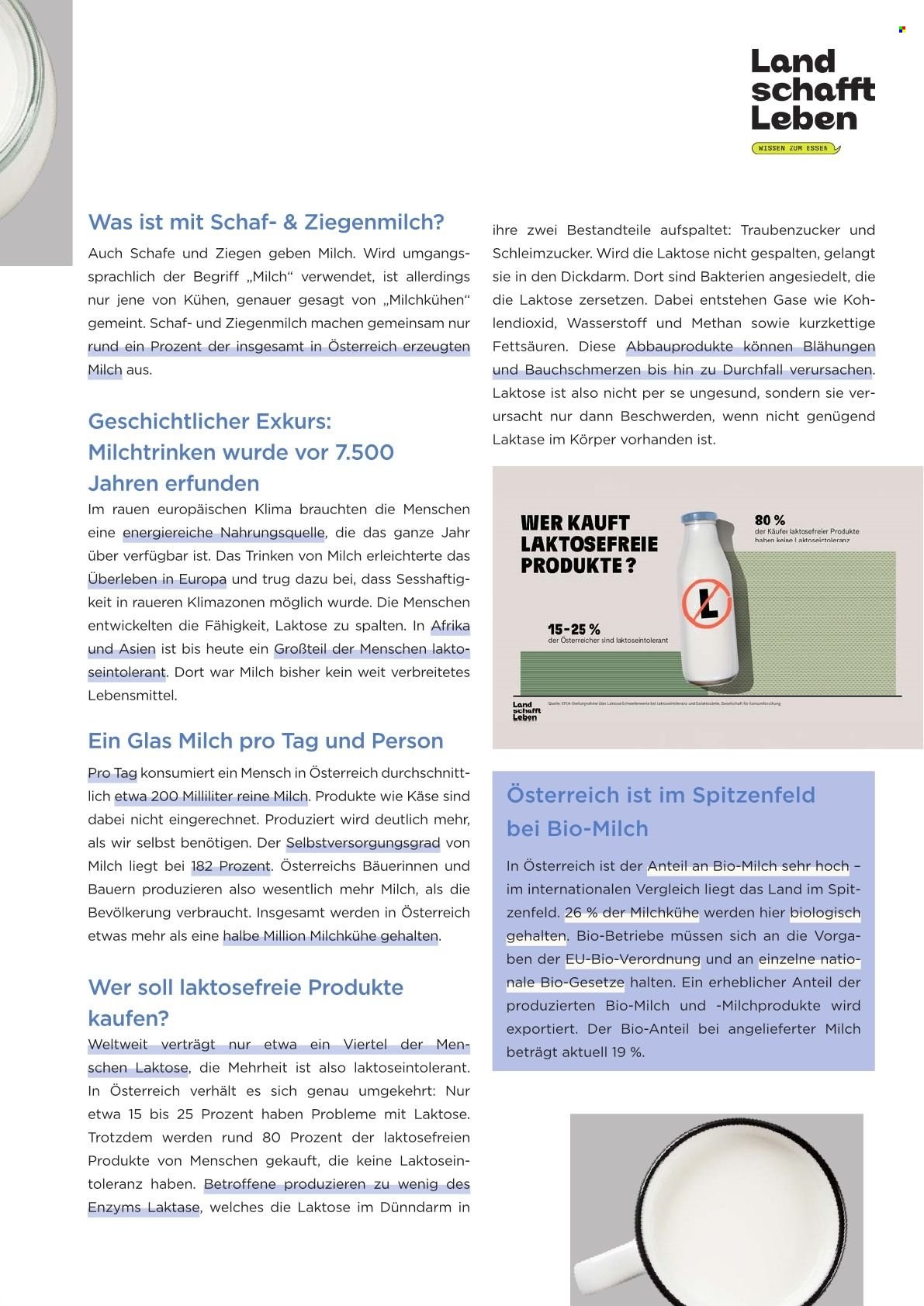 Angebote UNIMARKT.
