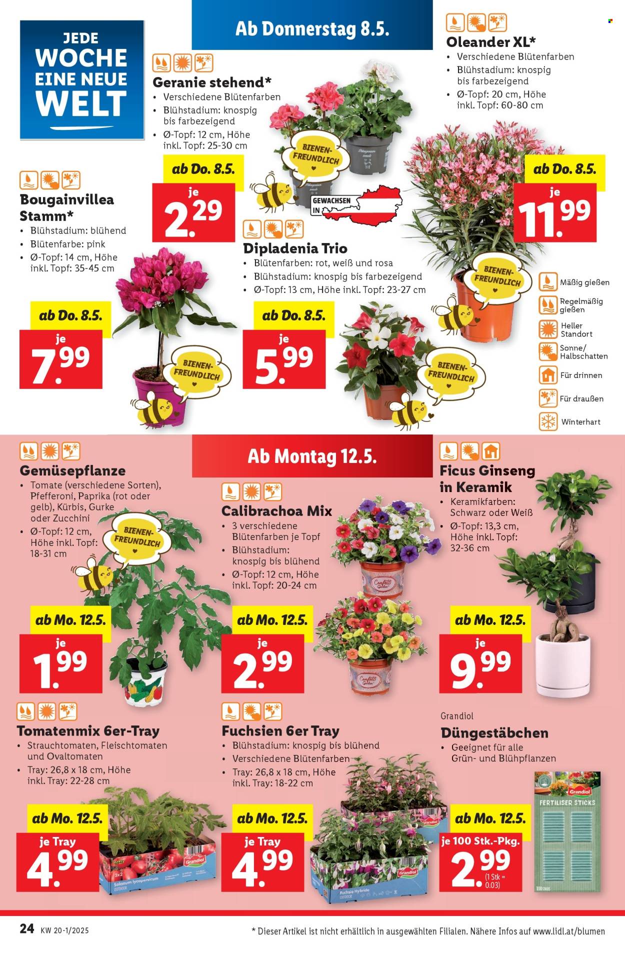 Angebote Lidl - 8.5.2025 - 14.5.2025.