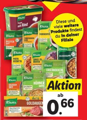 KNORR