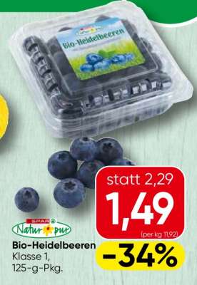 Bio Heidelbeeren