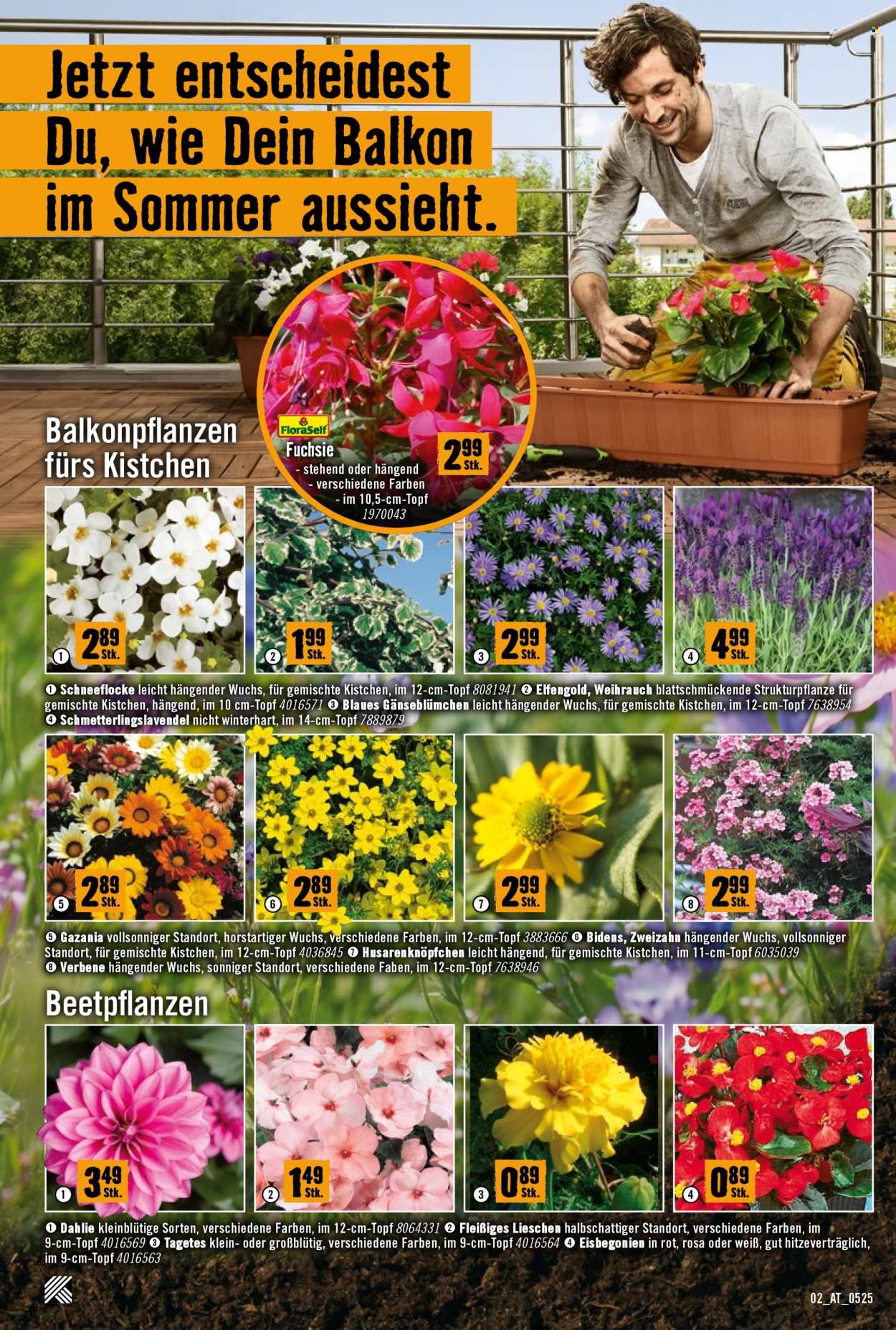 Angebote Hornbach - 8.5.2025 - 4.6.2025.