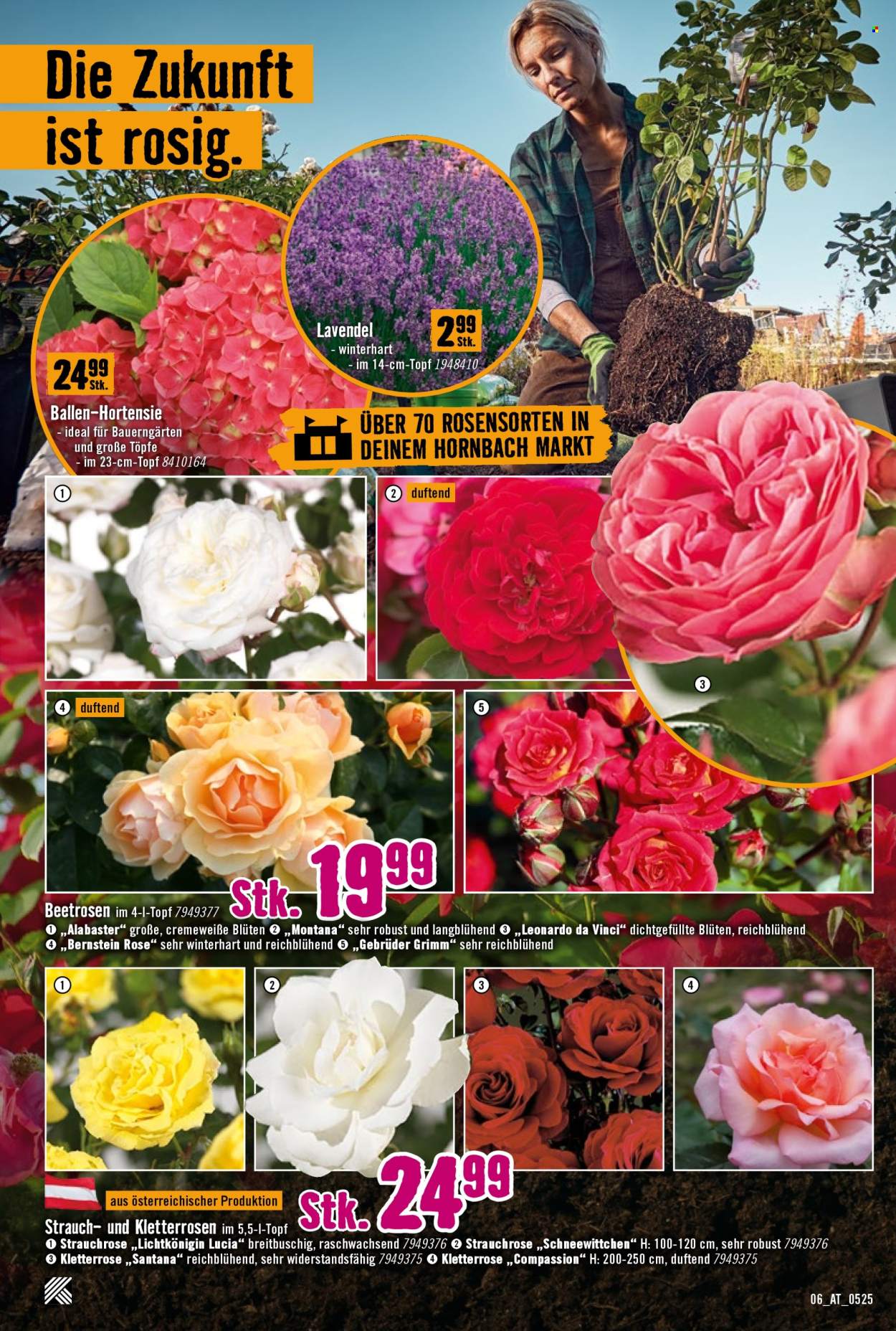 Angebote Hornbach - 8.5.2025 - 4.6.2025.