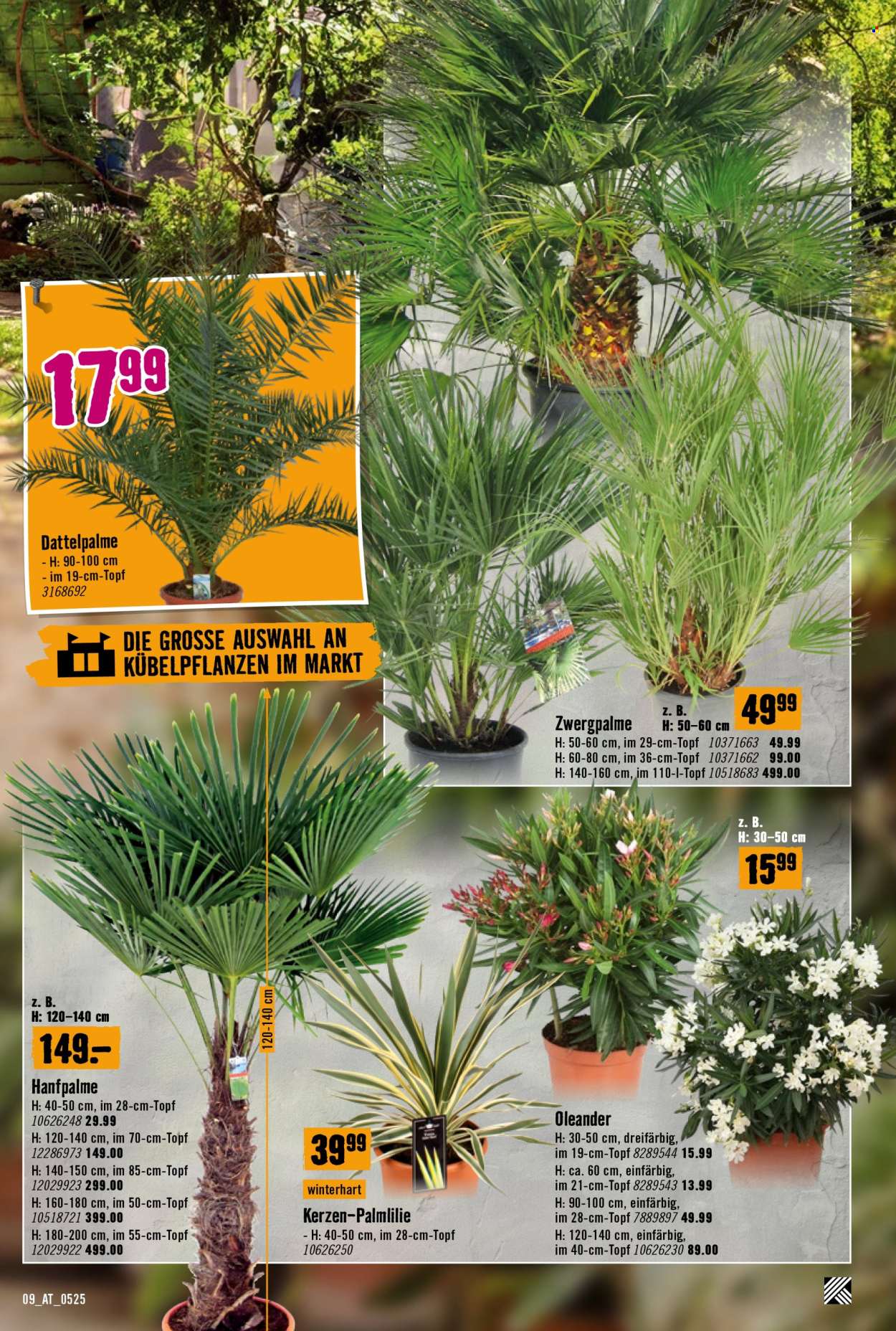 Angebote Hornbach - 8.5.2025 - 4.6.2025.