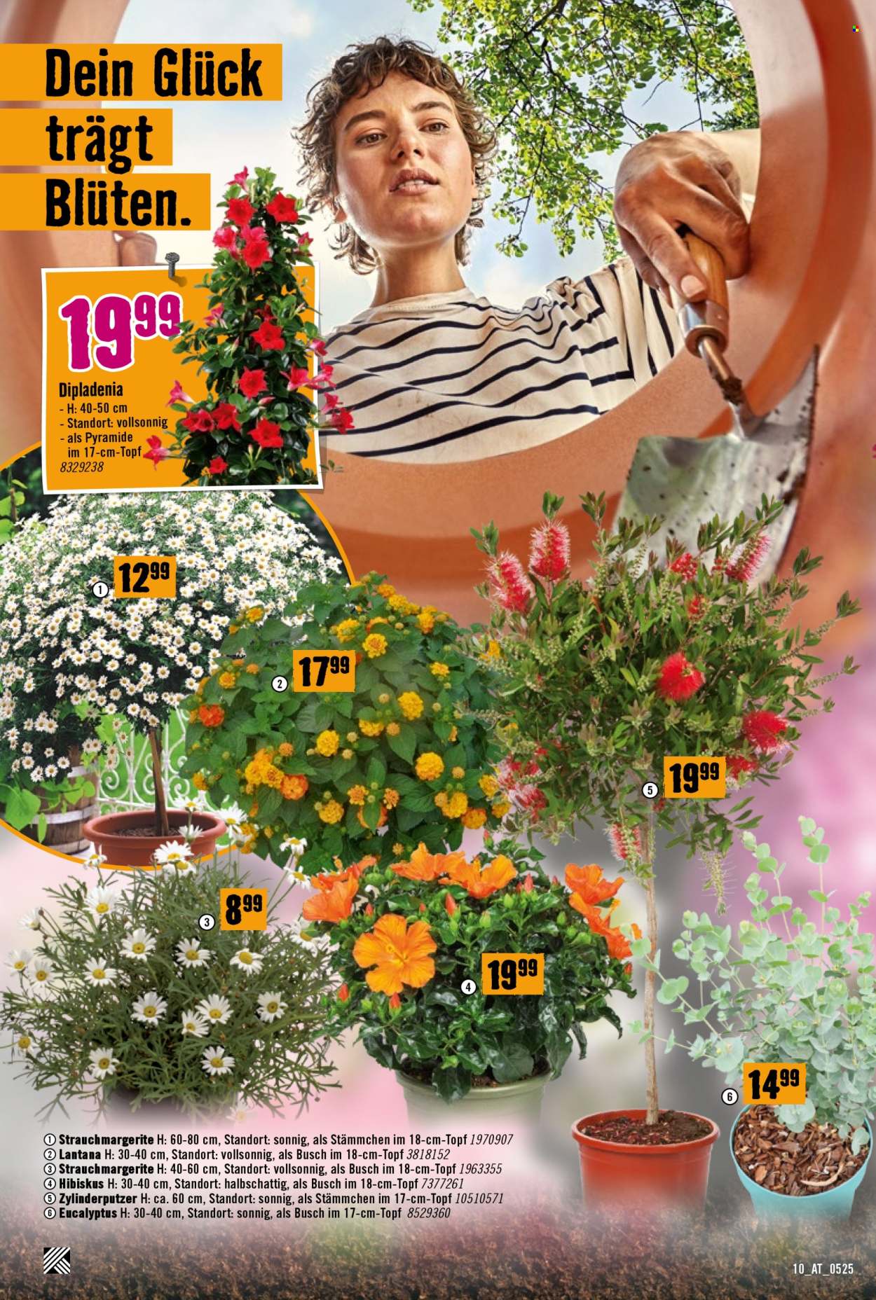 Angebote Hornbach - 8.5.2025 - 4.6.2025.