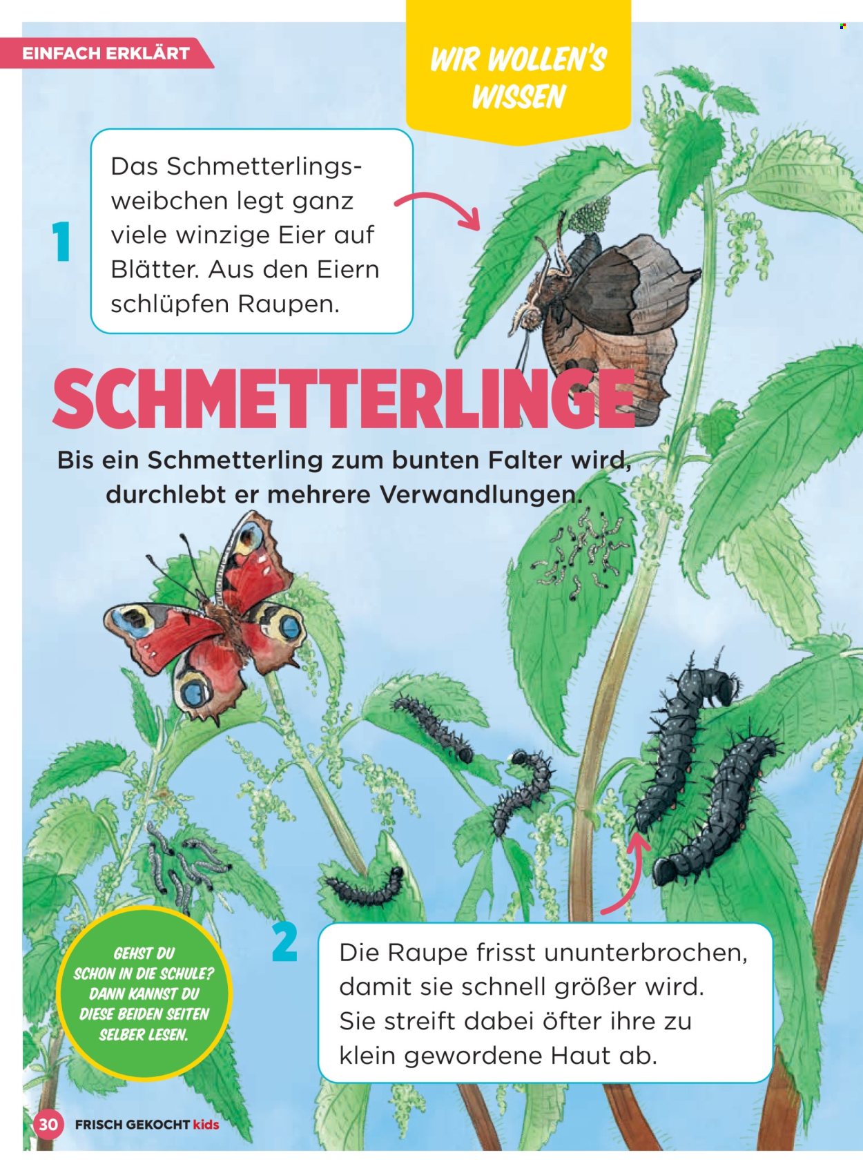 Angebote Billa. Seite 30