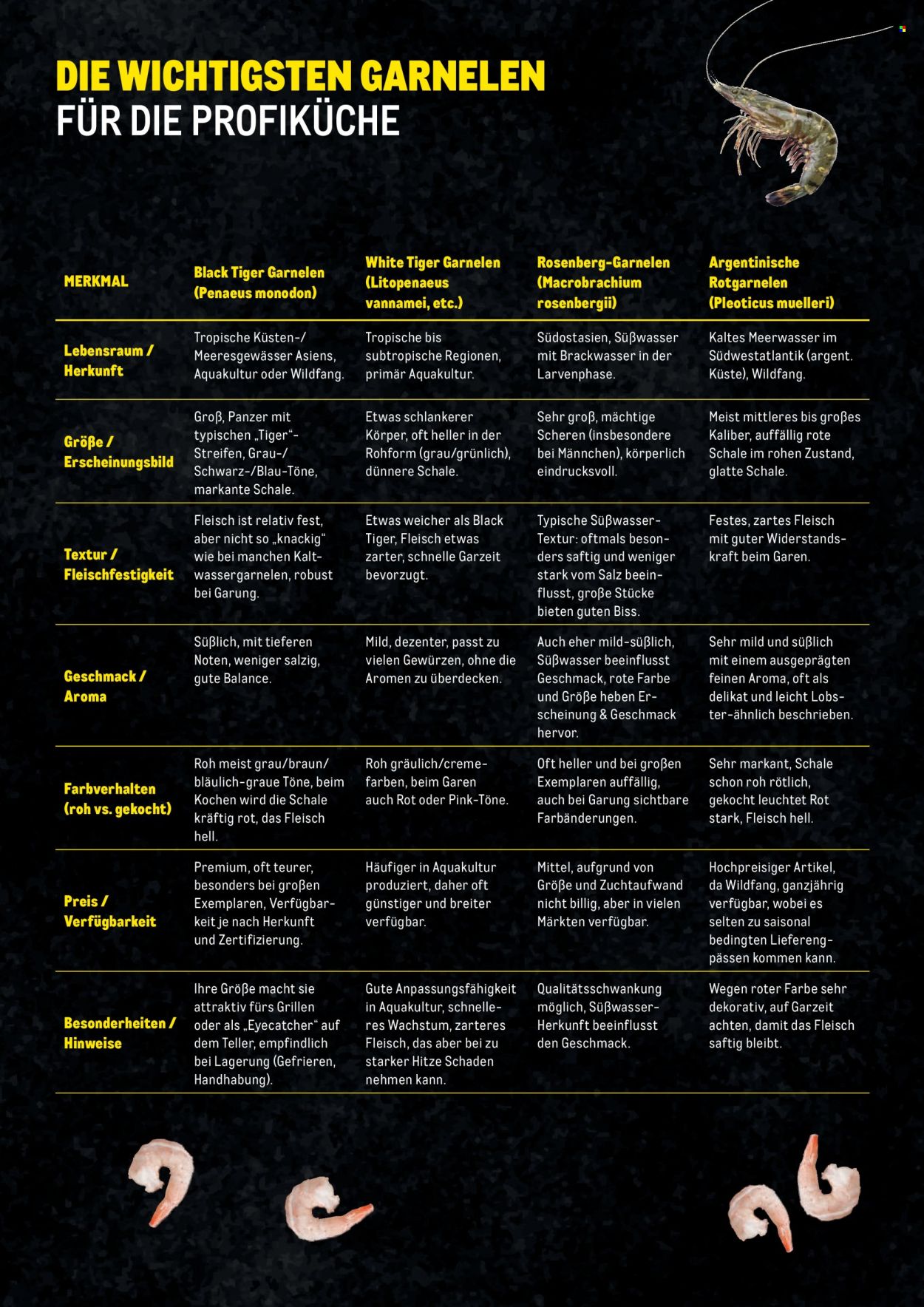 Angebote Metro. Seite 3