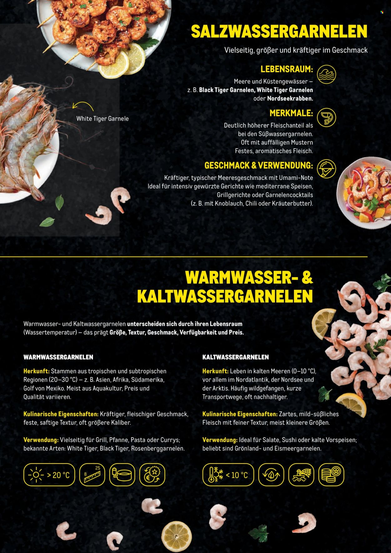 Angebote Metro. Seite 5