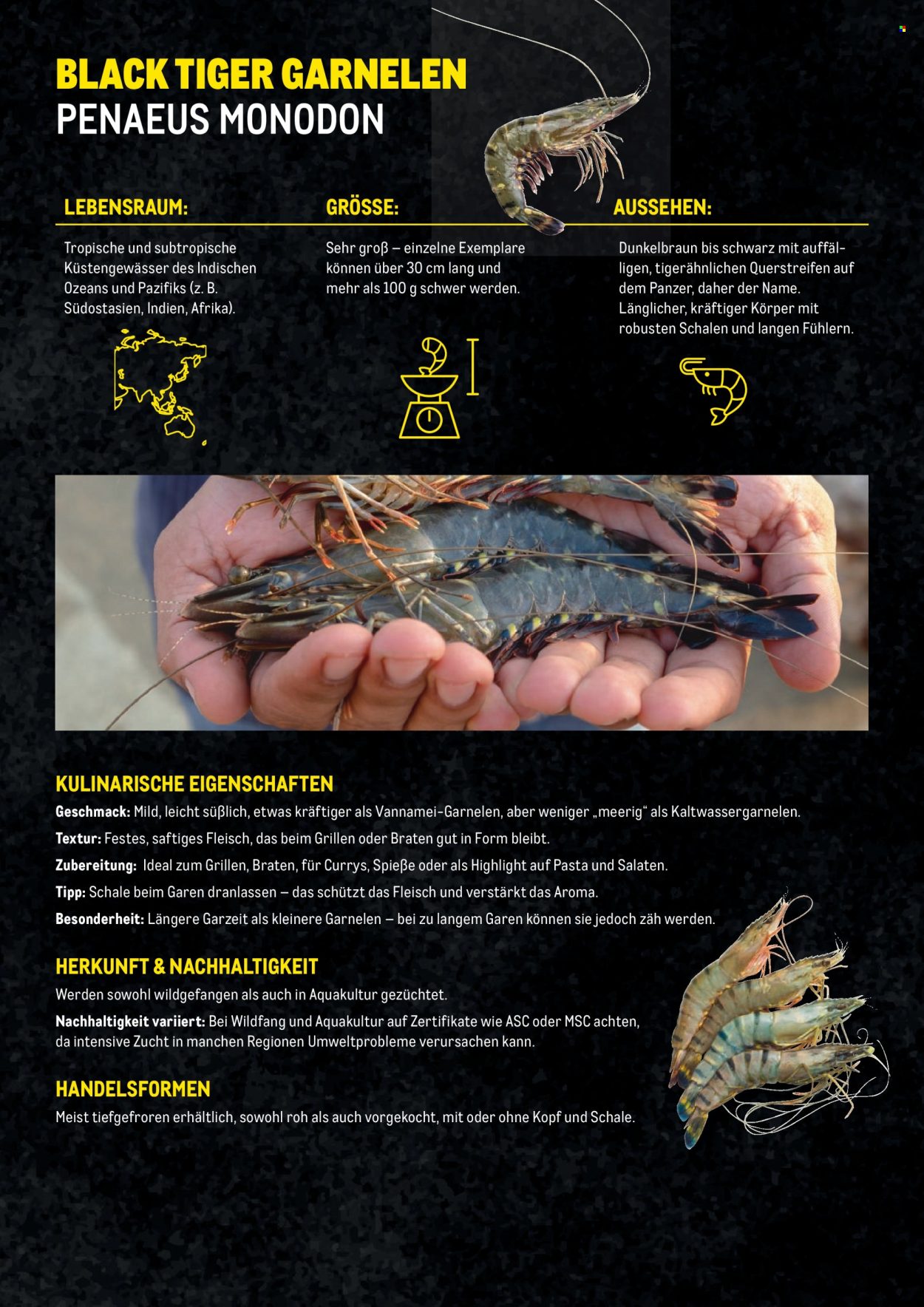 Angebote Metro. Seite 8