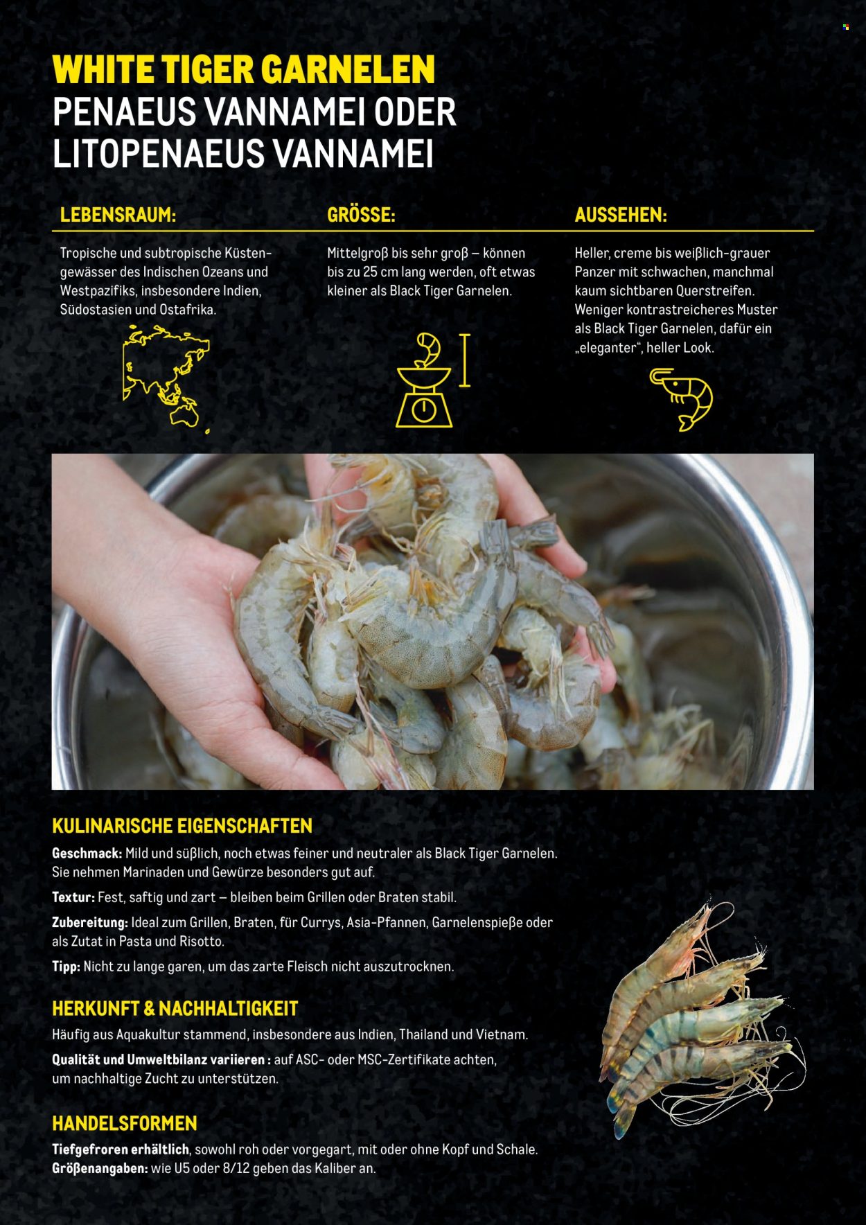 Angebote Metro. Seite 10