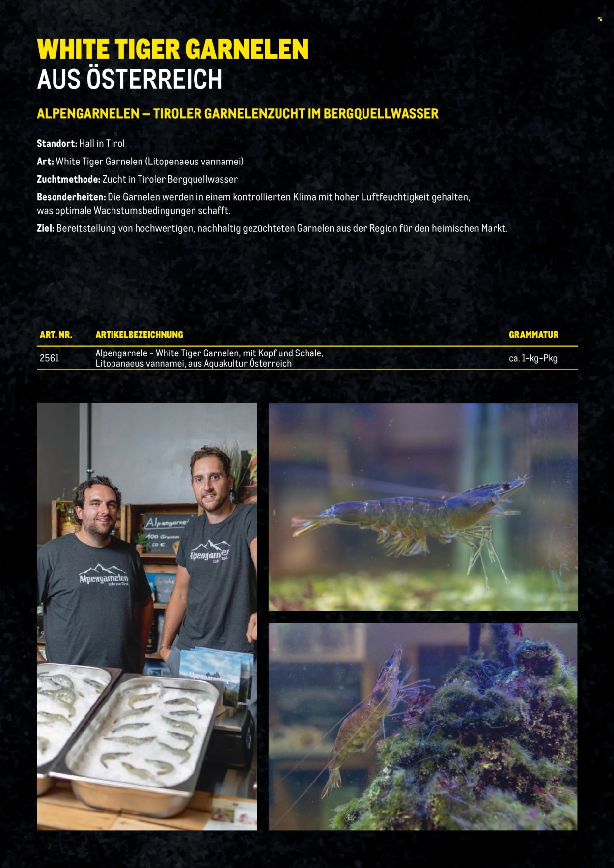 Angebote Metro. Seite 13