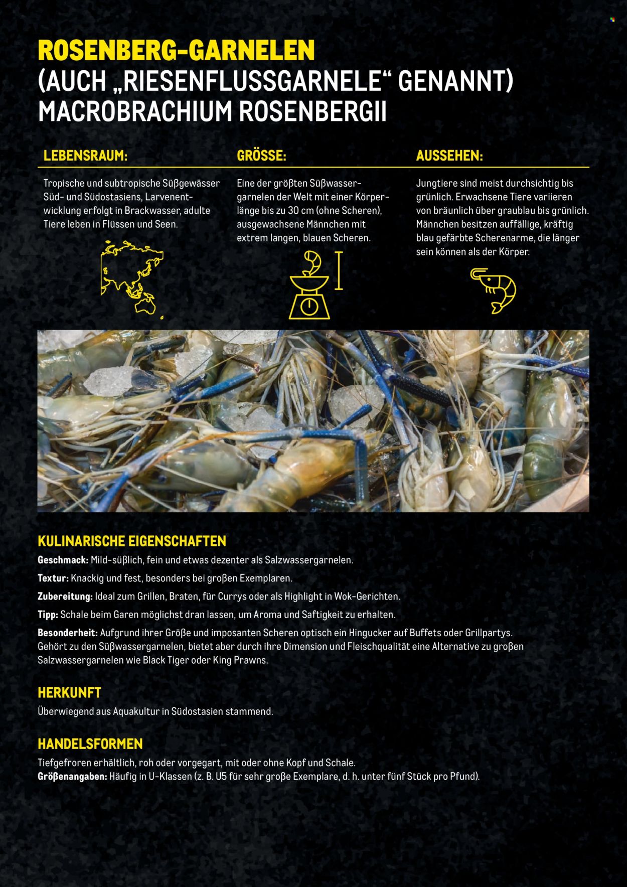 Angebote Metro. Seite 14