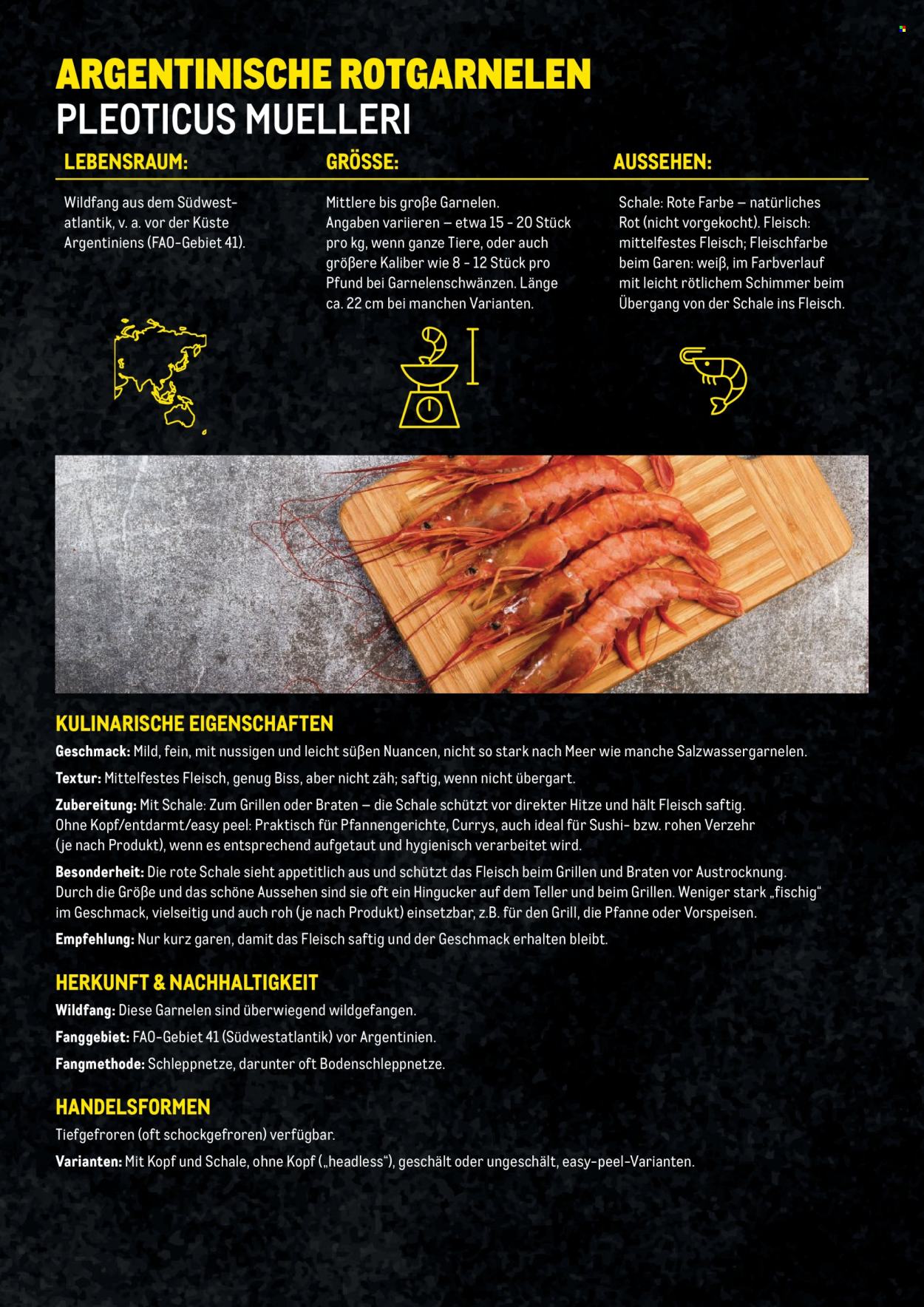 Angebote Metro. Seite 16