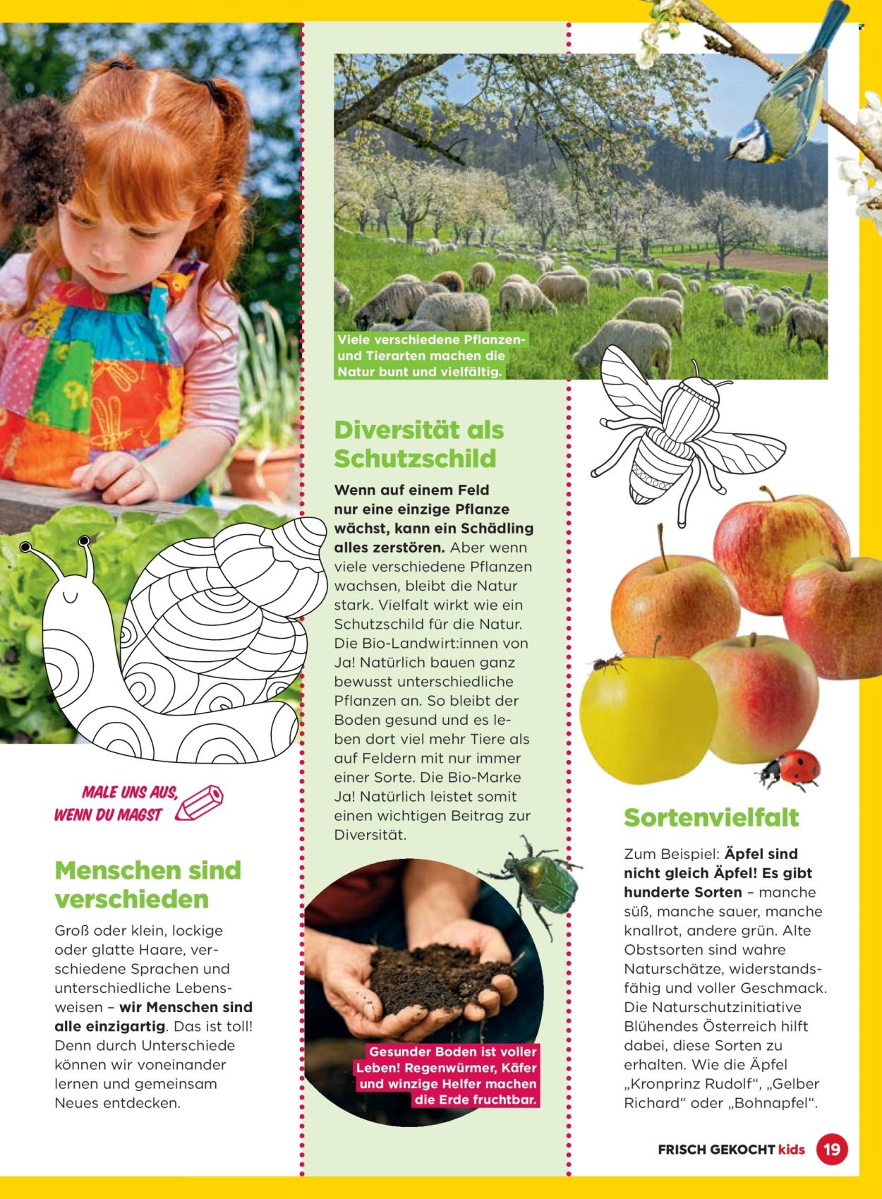 Angebote Billa. Seite 19