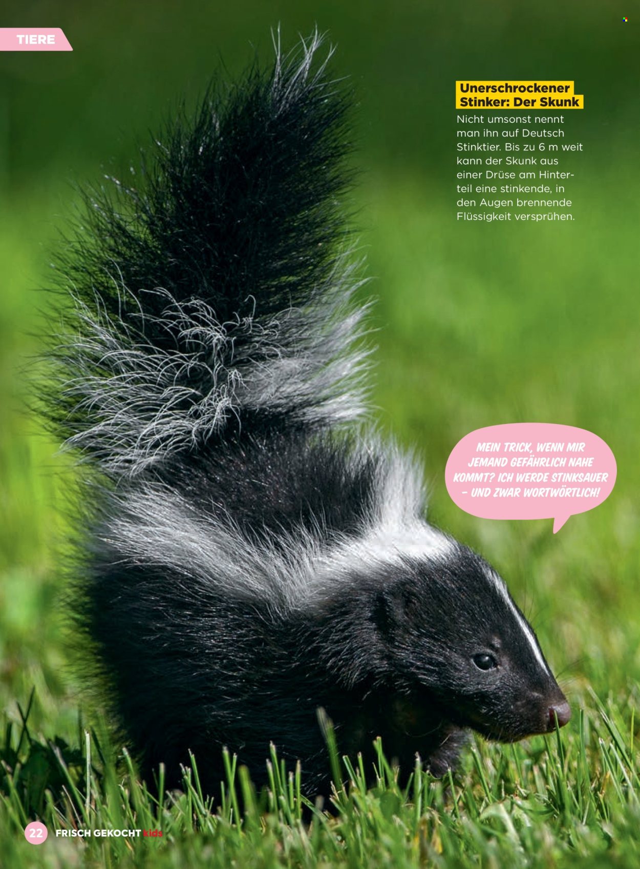 Angebote Billa. Seite 22