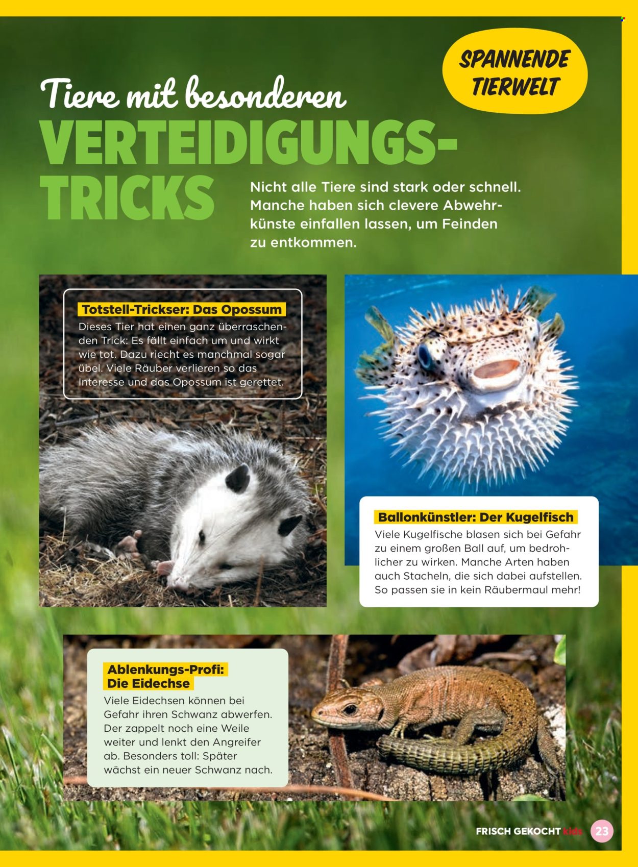 Angebote Billa. Seite 23