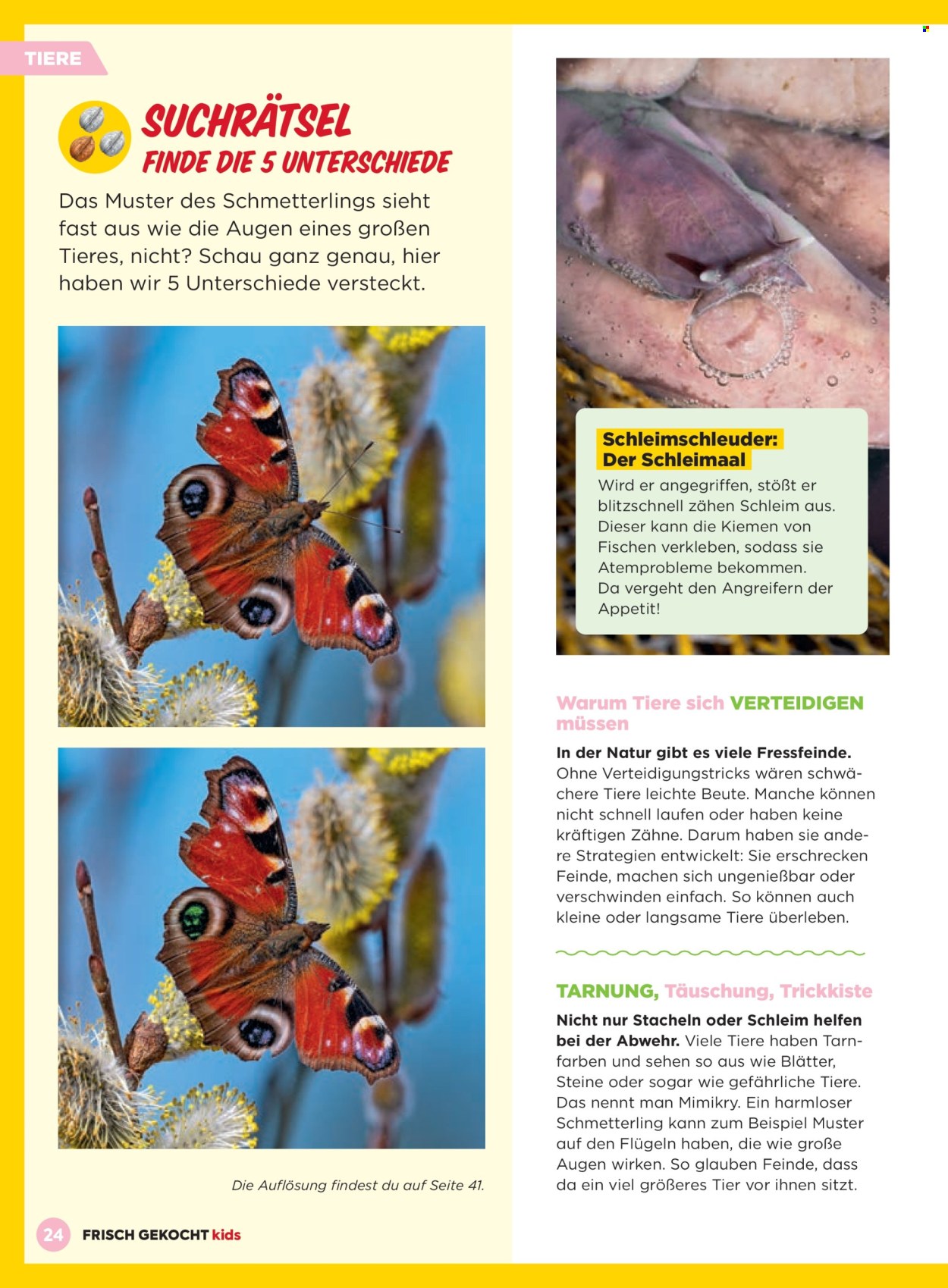 Angebote Billa. Seite 24