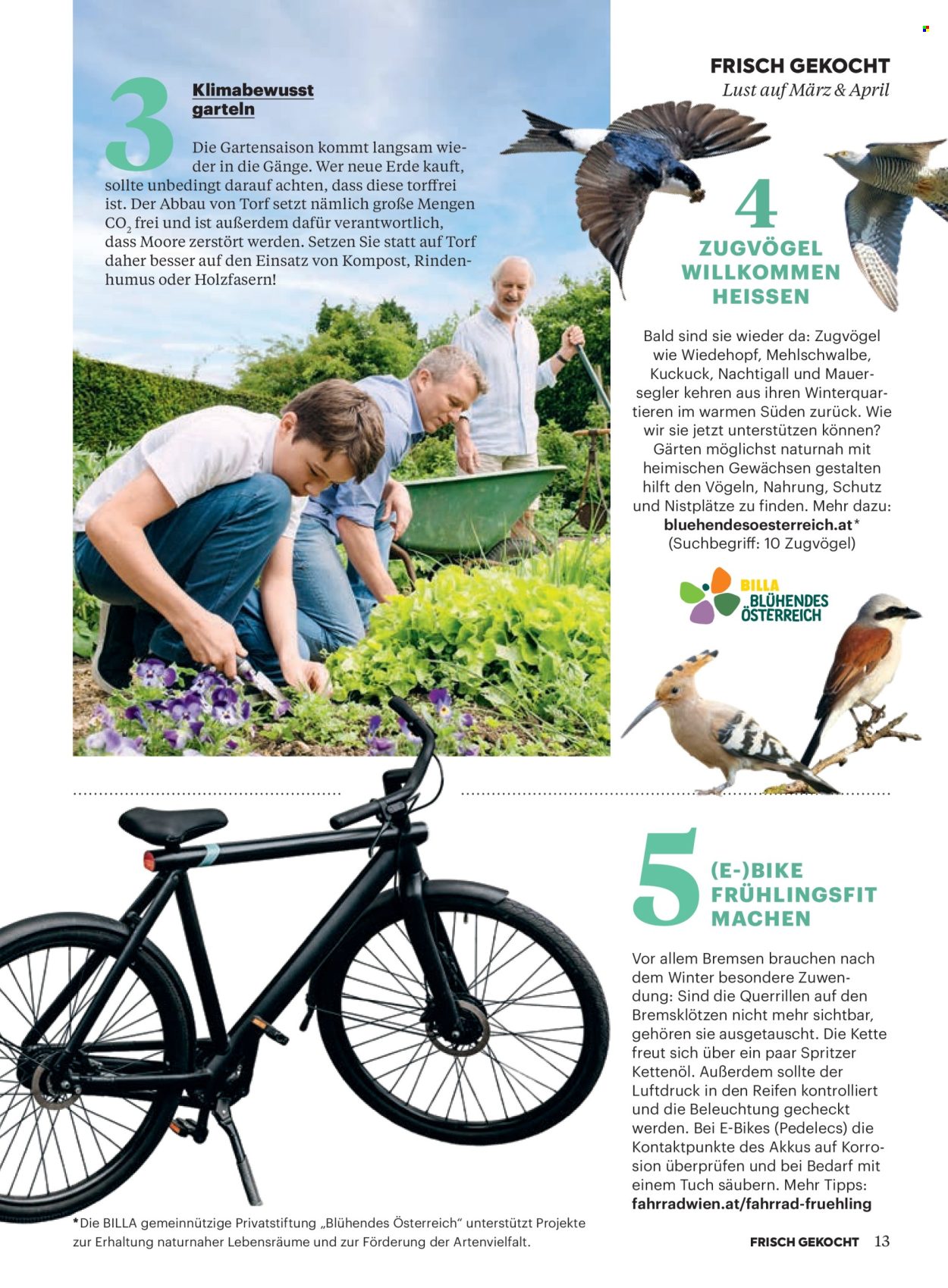 Angebote Billa - 1.3.2026 - 30.4.2026. Seite 11