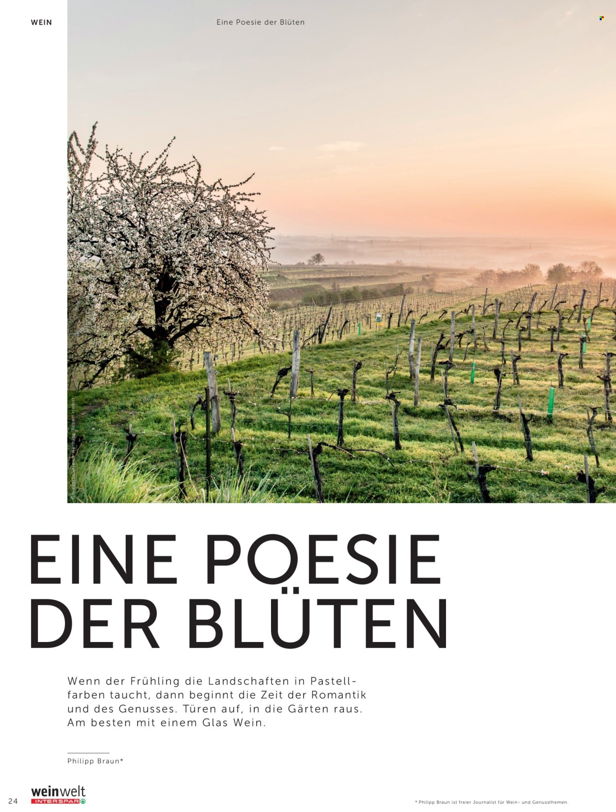 Angebote INTERSPAR - 5.3.2026 - 10.6.2026. Seite 24