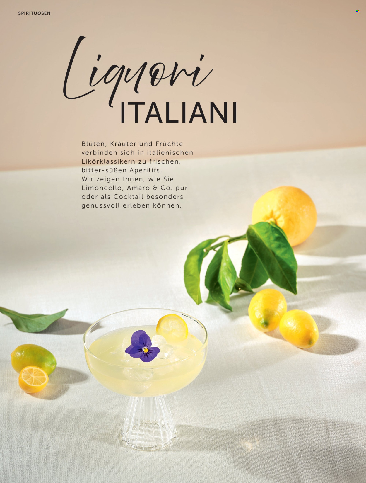 Angebote INTERSPAR - 5.3.2026 - 10.6.2026. Seite 50