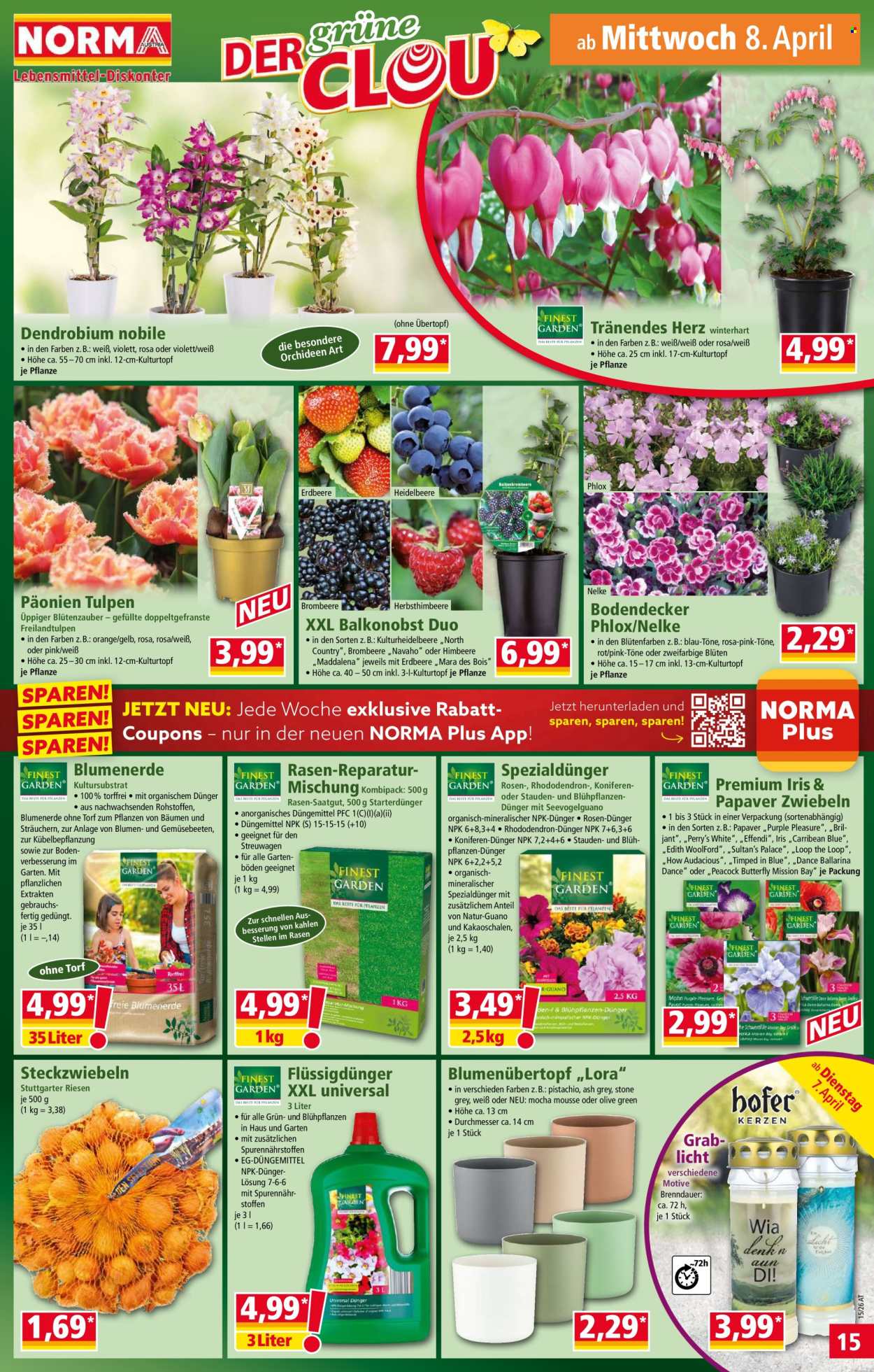 Angebote Norma - 7.4.2026 - 11.4.2026. Seite 15