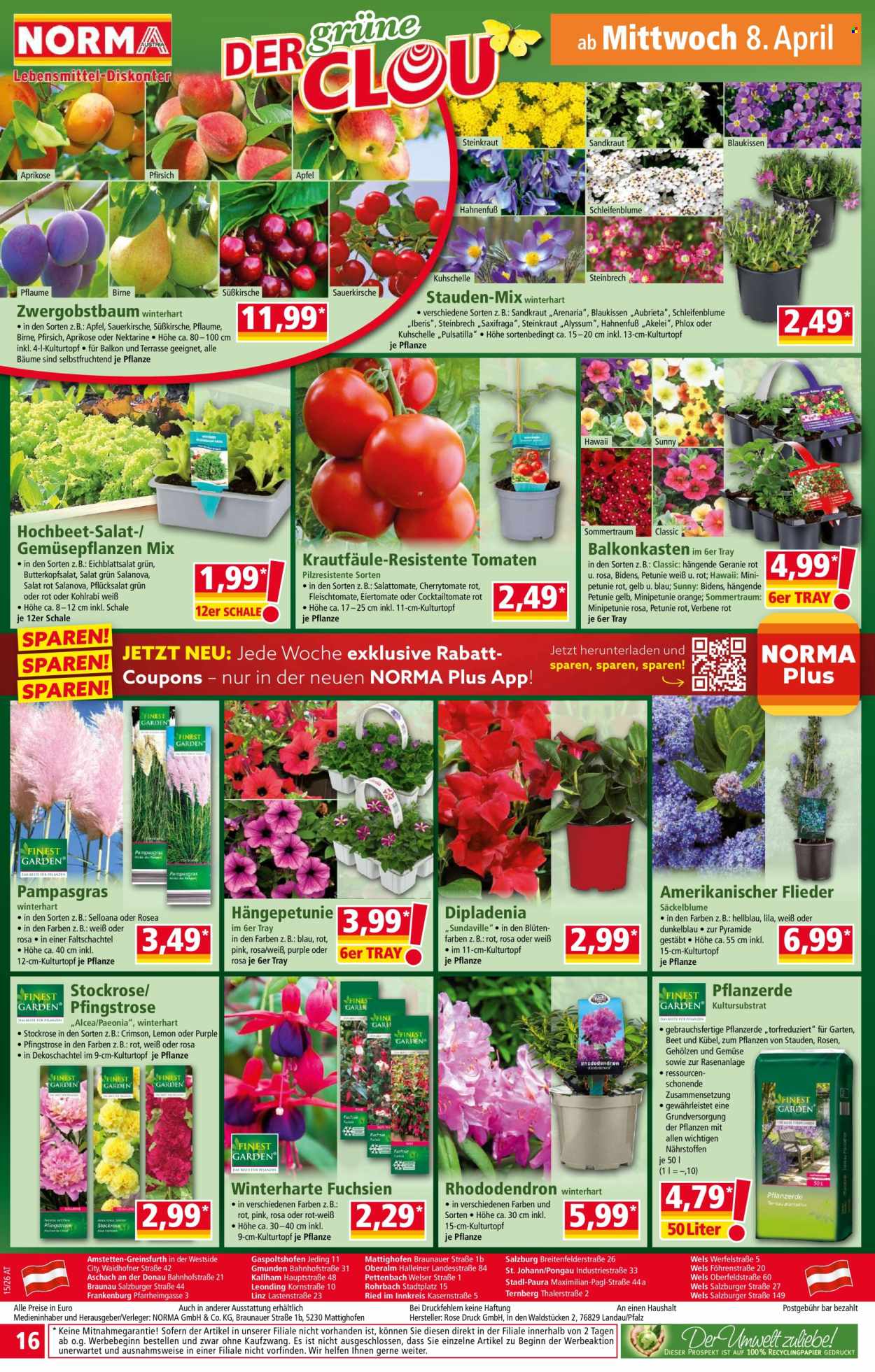 Angebote Norma - 7.4.2026 - 11.4.2026. Seite 16