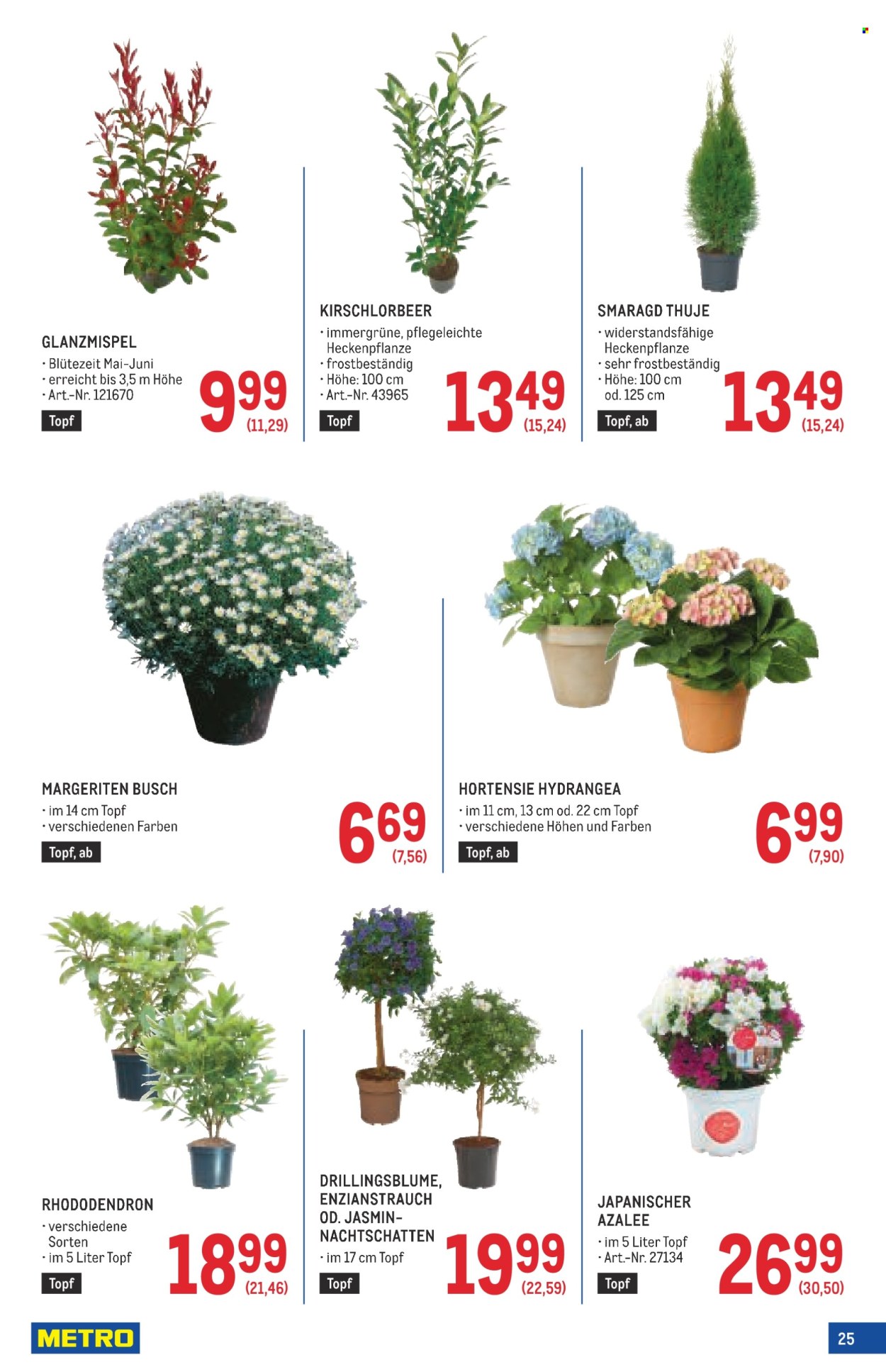 Angebote Metro - 2.4.2026 - 29.4.2026. Seite 25