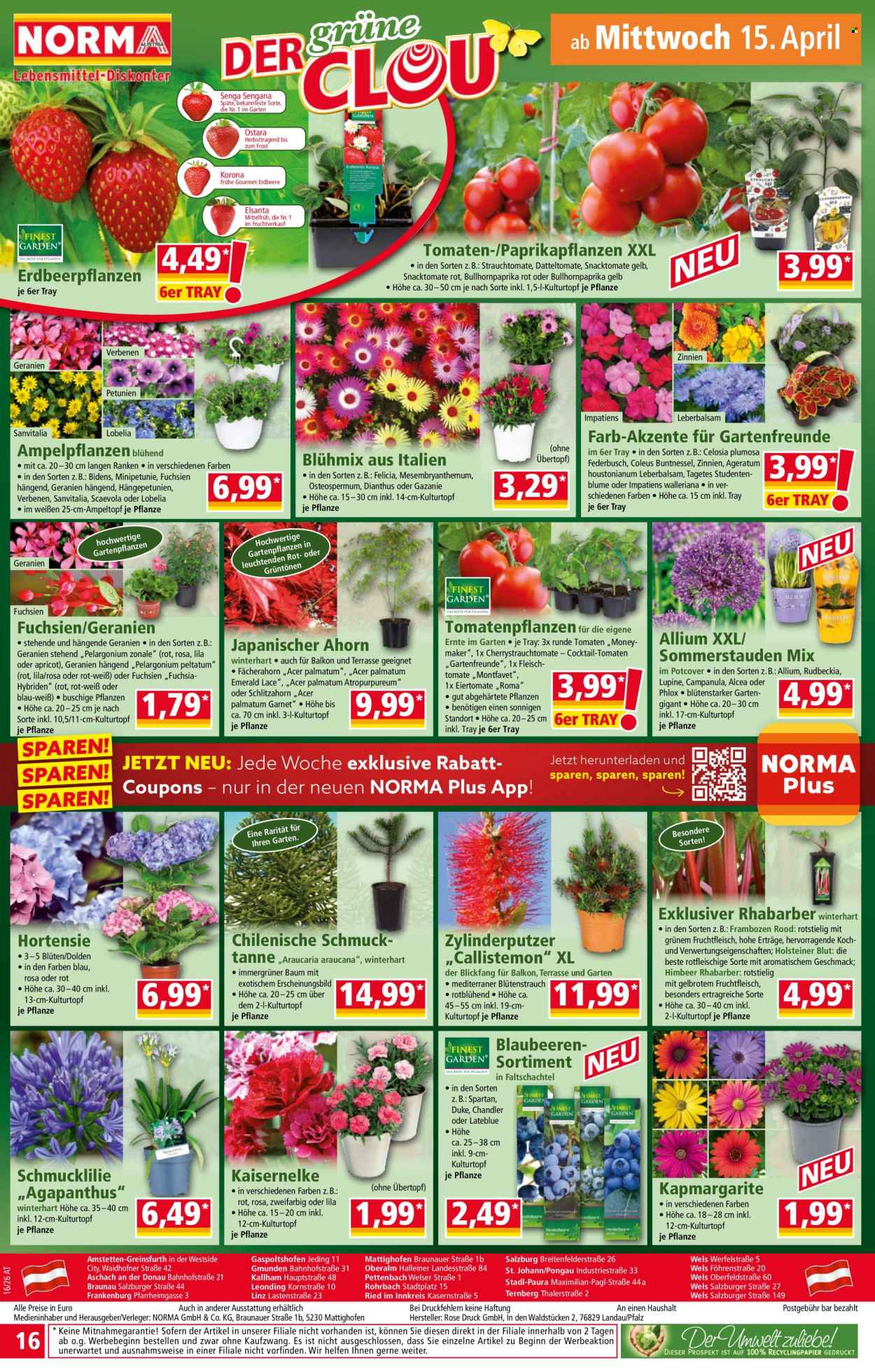 Angebote Norma - 13.4.2026 - 18.4.2026. Seite 16