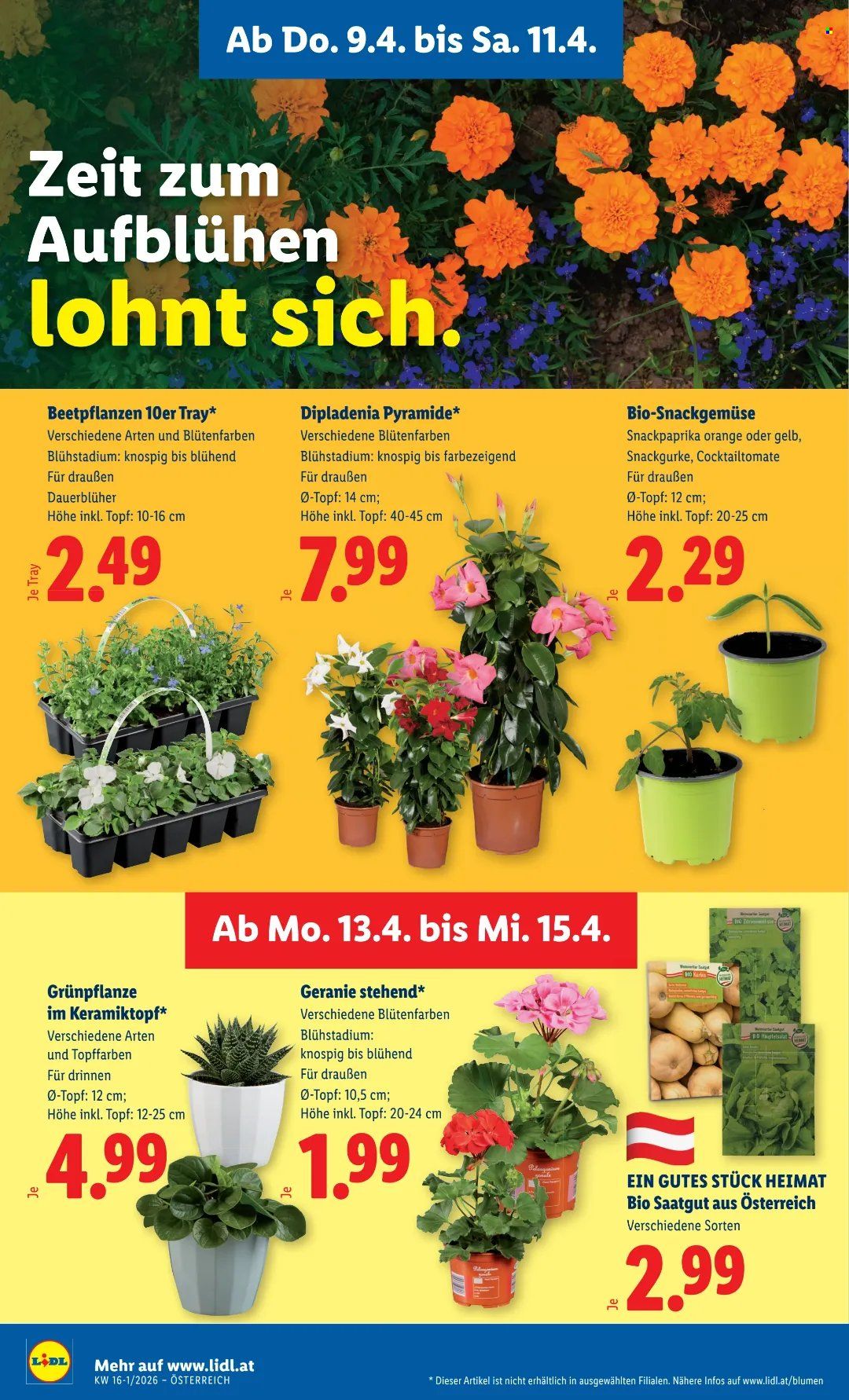 Angebote Lidl - 9.4.2026 - 15.4.2026. Seite 28
