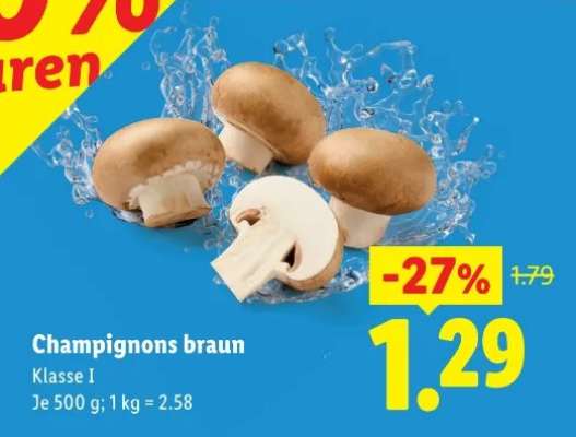 Champignons braun