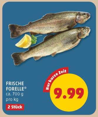 Frische Forelle