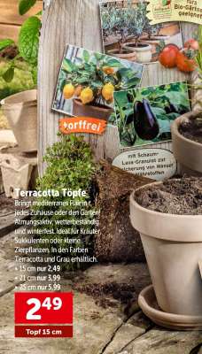 Terracotta Töpfe