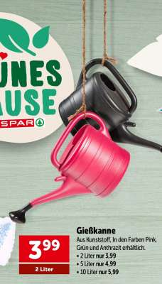 GIESSKANNE