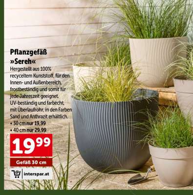 Pflanzgefäß »Serek«