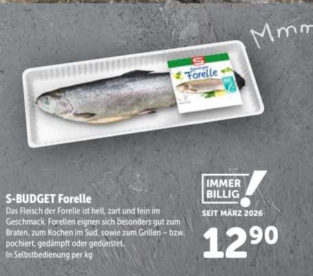 S-BUDGET Forelle